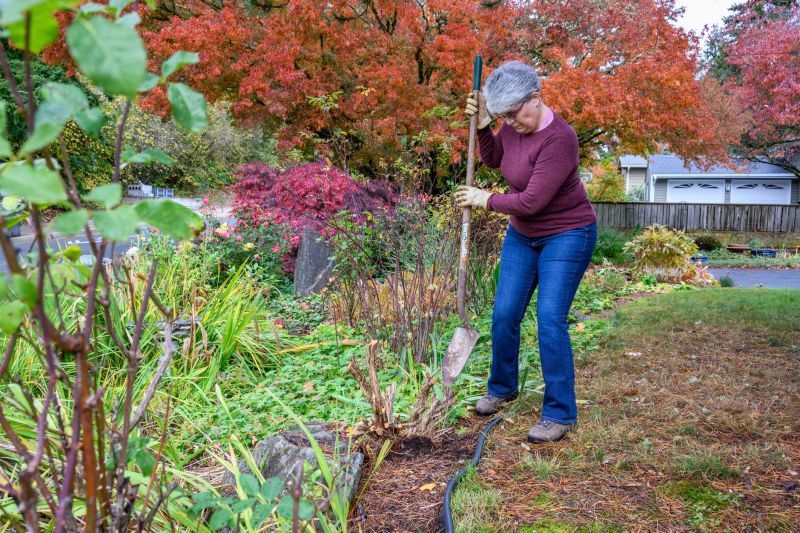 Fall Shrub Planting